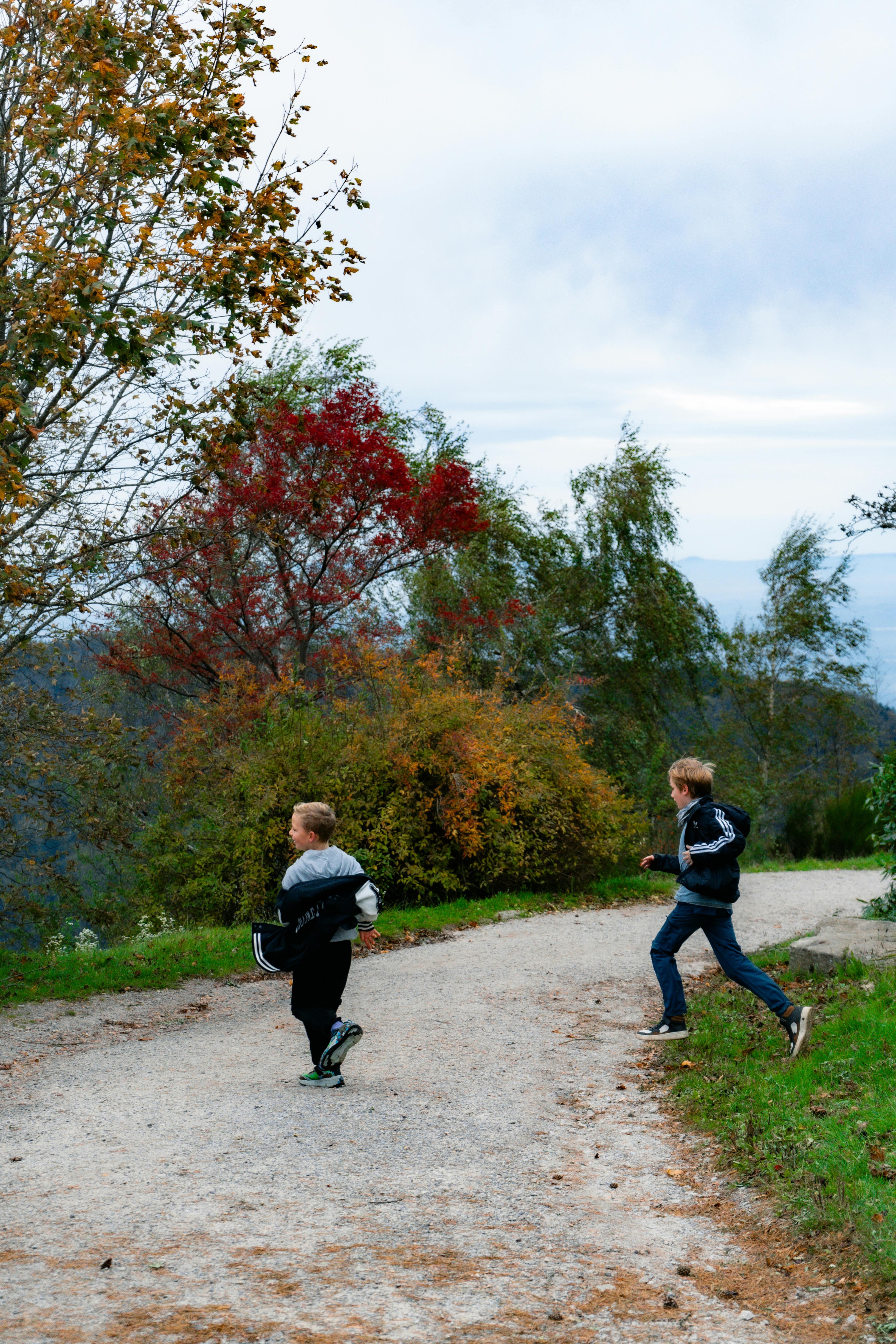 Kinder beim Outdoor-Abenteuer im Wald für eine Pfadfinder-Schatzsuche
