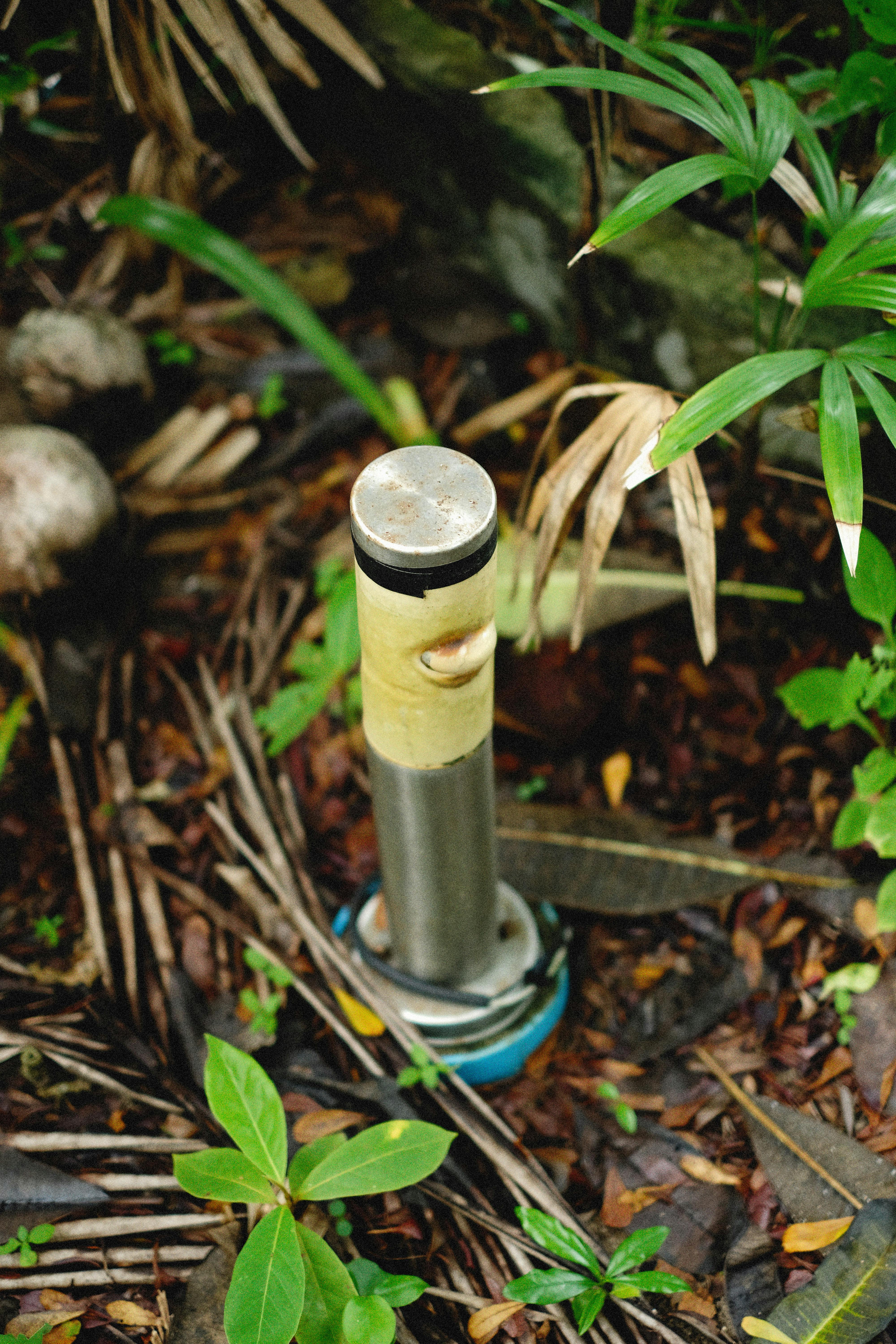 Kinder suchen mit Smartphone und GPS nach einem Geocache im Park