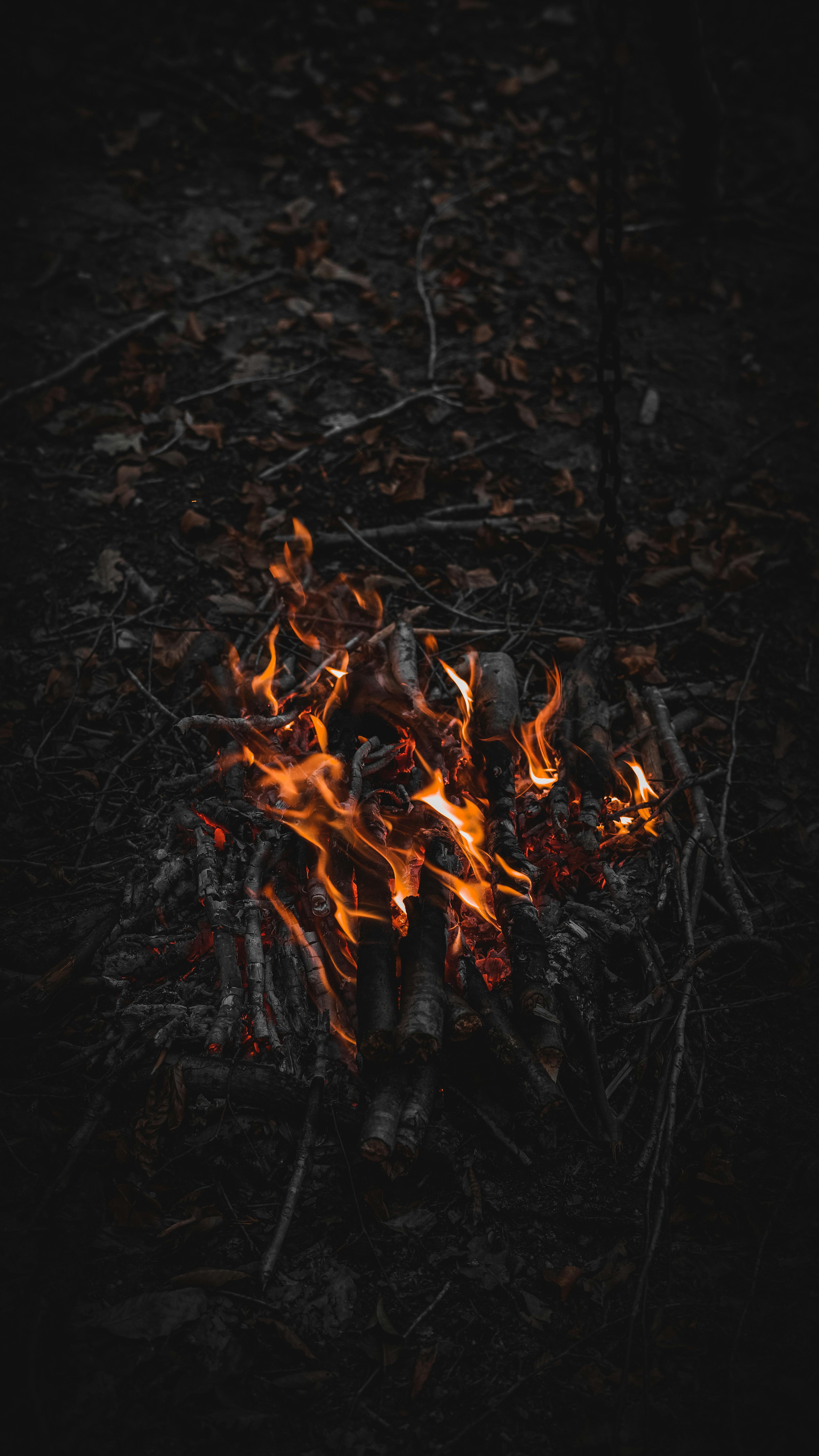 Kinder sitzen um ein Lagerfeuer und backen Stockbrot beim Kindergeburtstag